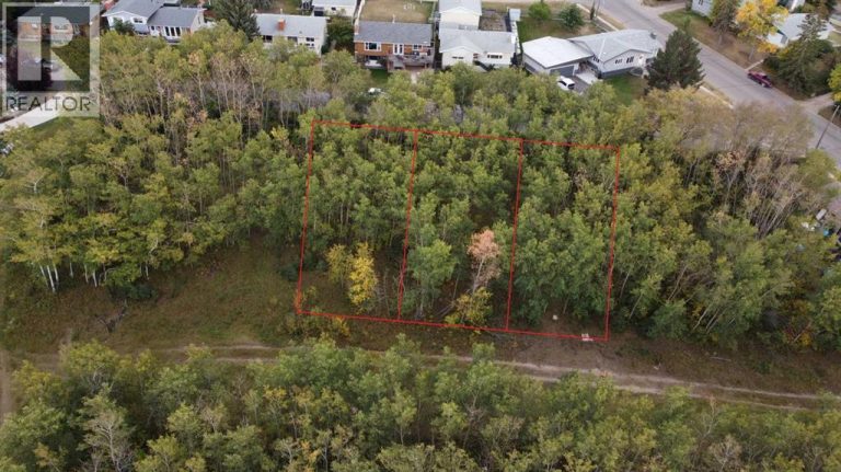 5007, 5009, 5011 42B Street, Ponoka